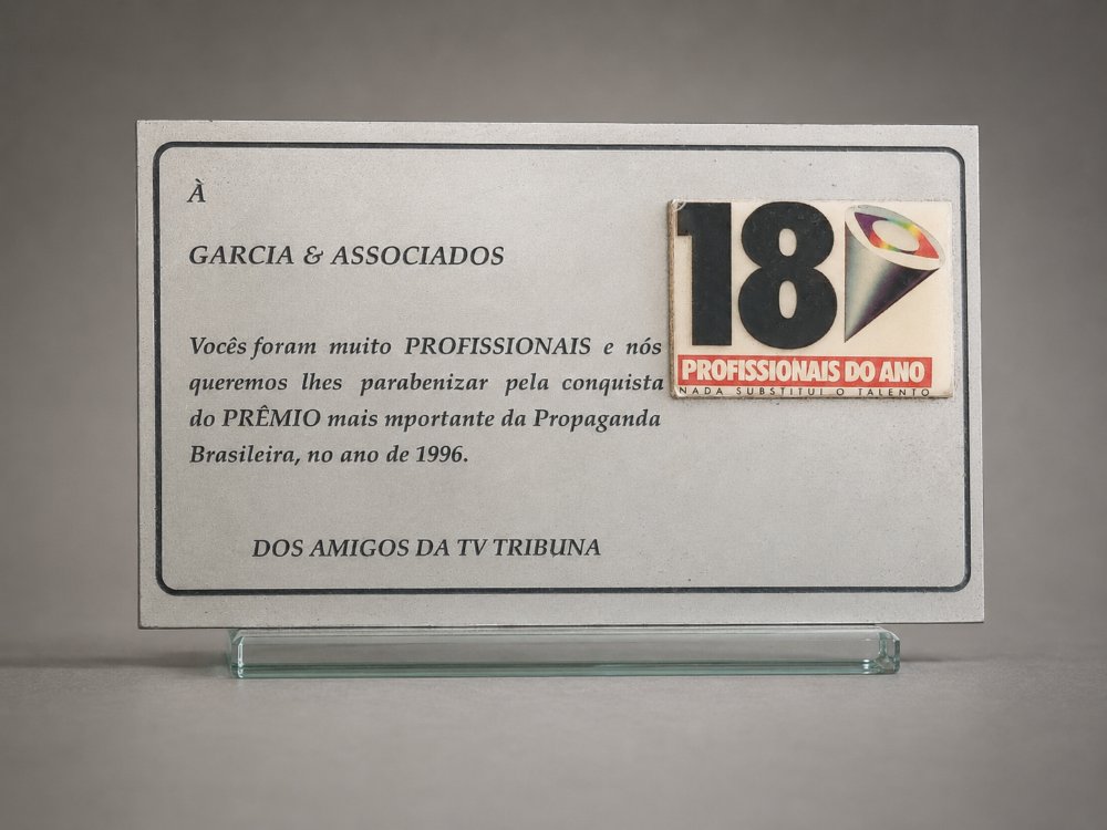 Profissionais do Ano 1996